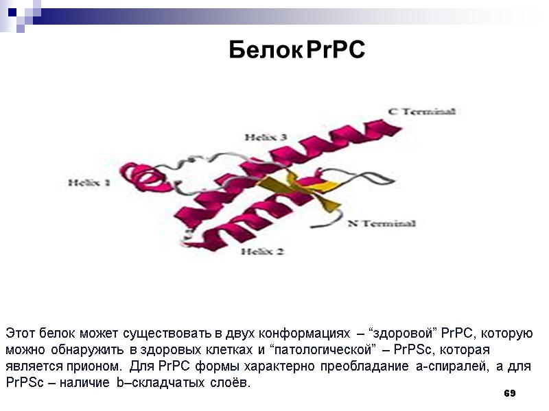 69 Этот белок может существовать в двух конформациях – “здоровой” PrPC, которую можно обнаружить